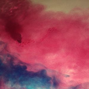 Meet your Posher, Tegan